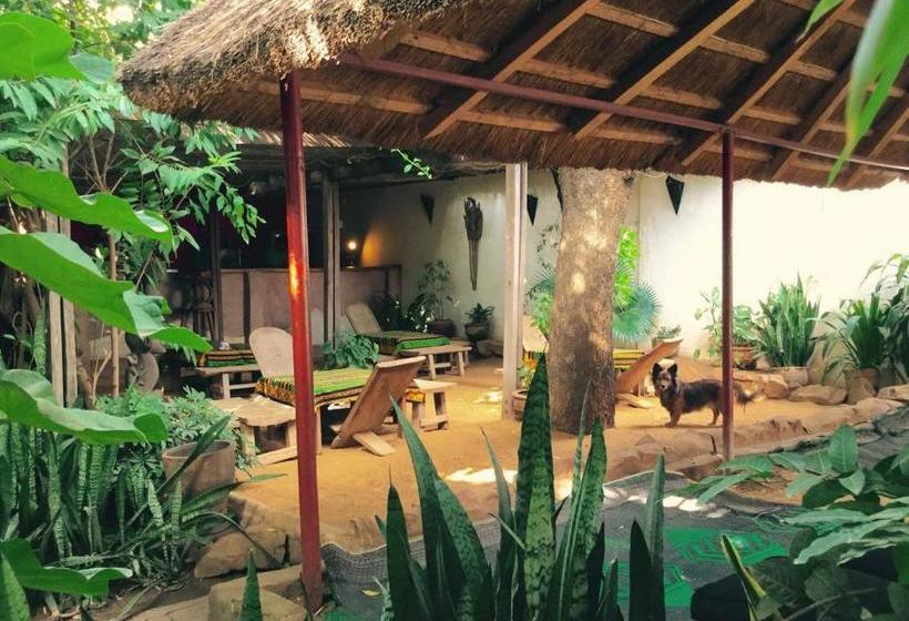 هتل Auberge Djamilla