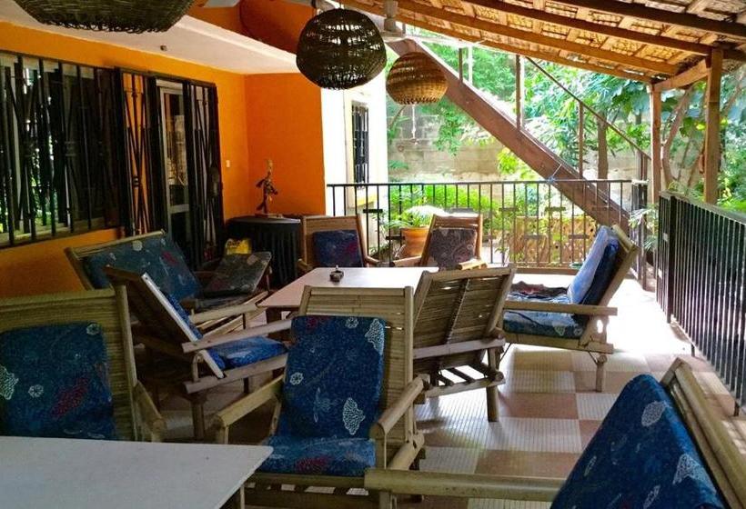 هتل Auberge Djamilla