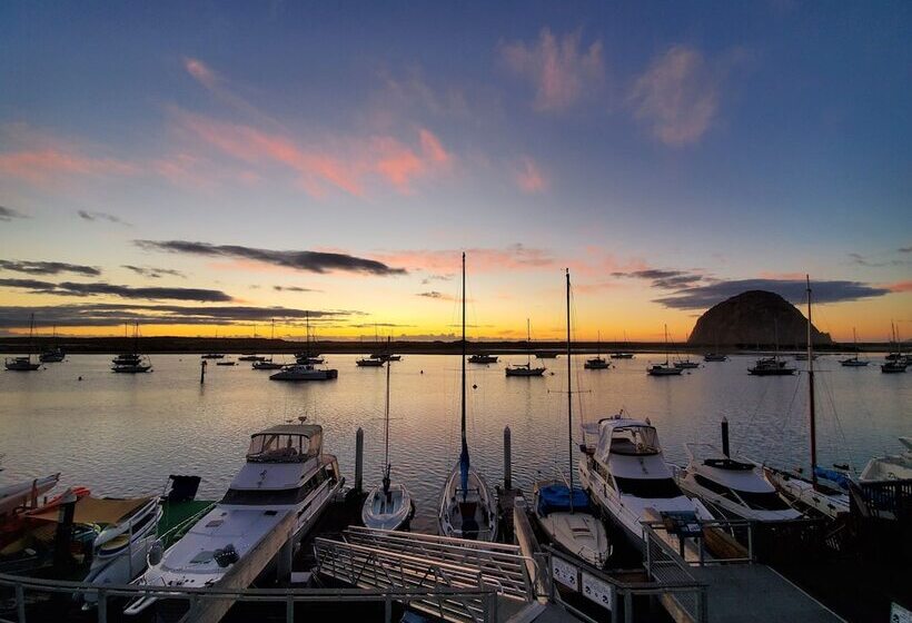 Отель Gray's Inn & Gallery