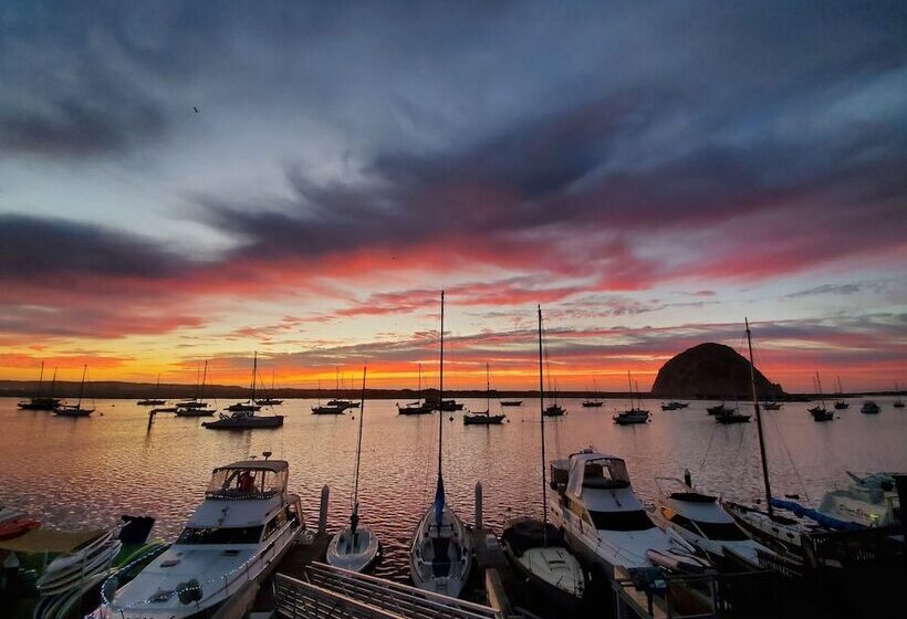 Отель Gray's Inn & Gallery