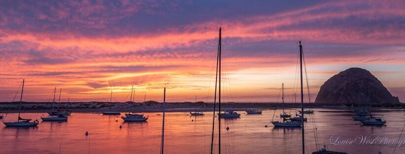 Отель Gray's Inn & Gallery