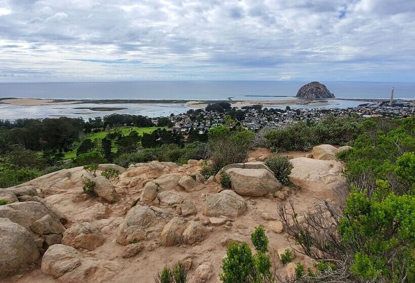 Отель Gray's Inn & Gallery