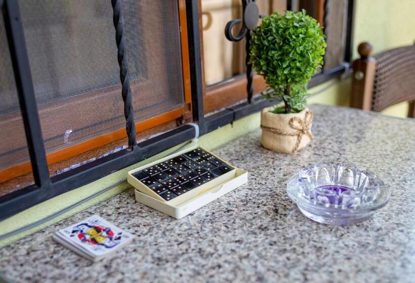 هاستل Tsera House