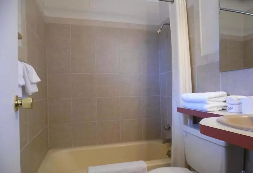 호텔 Budget Host Inn