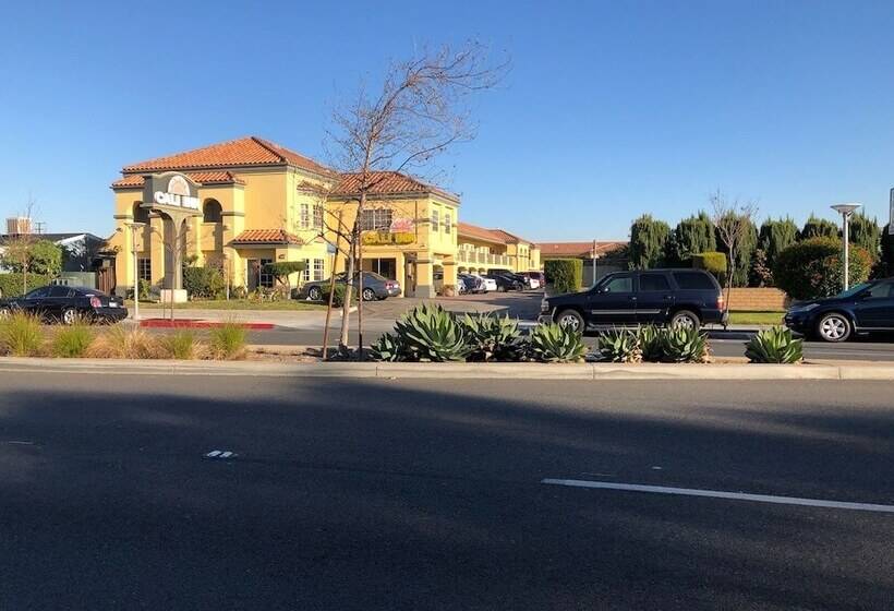 בית מלון כפרי Cali Inn