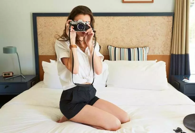 酒店 Calistoga Motor Lodge And Spa, A Jdv By Hyatt