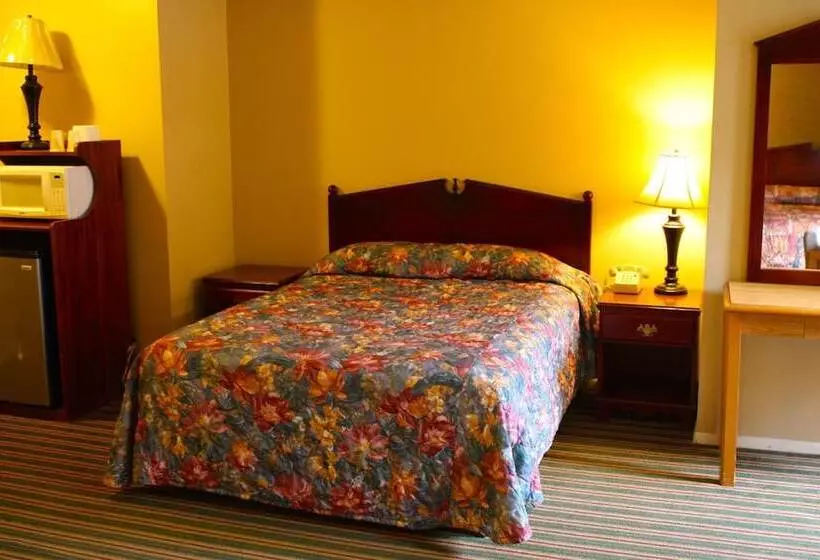 汽车旅馆  San Luis Inn And Suites