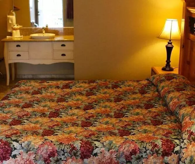 汽车旅馆  San Luis Inn And Suites