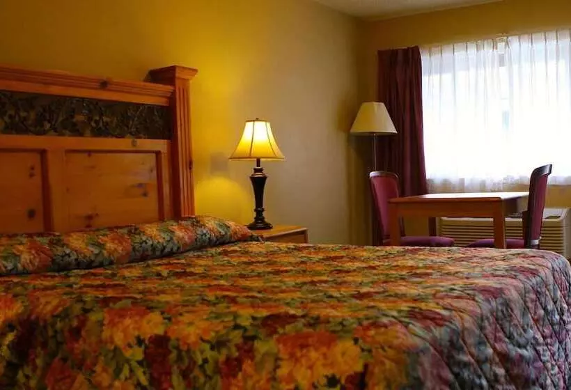 汽车旅馆  San Luis Inn And Suites