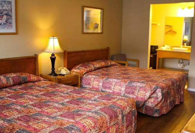 汽车旅馆  San Luis Inn And Suites