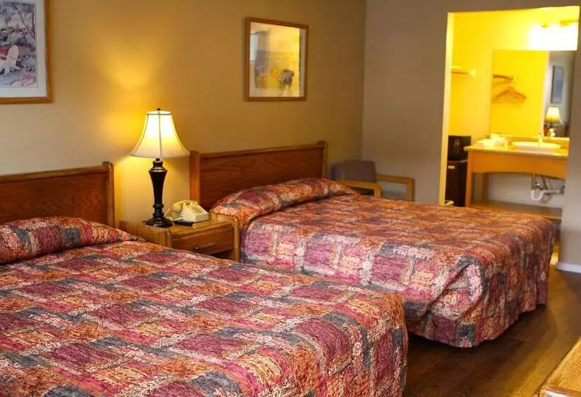 汽车旅馆  San Luis Inn And Suites