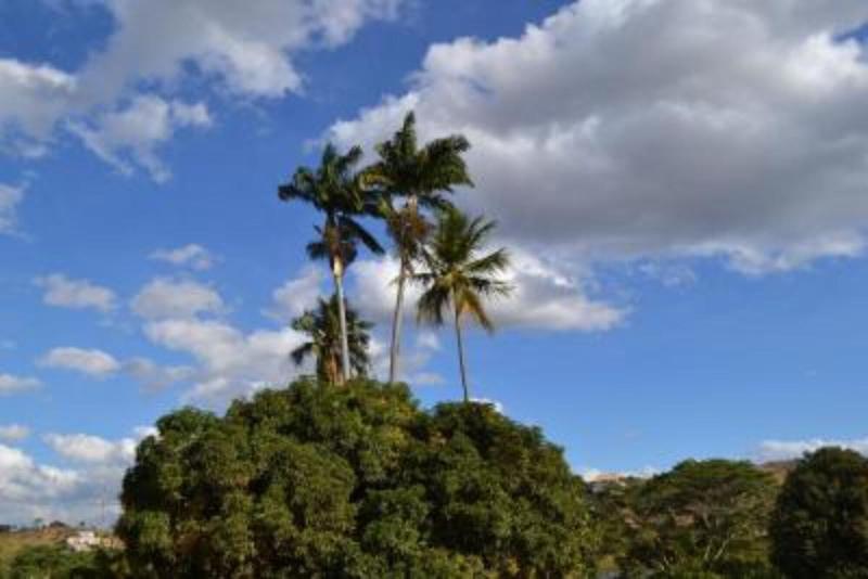 فندق Ibis Budget Itaperuna