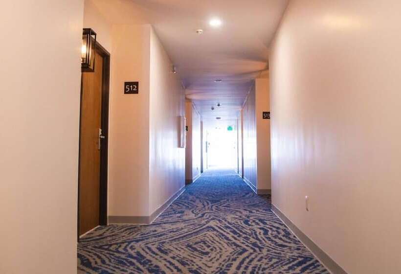 בית מלון כפרי Kumiai Inn