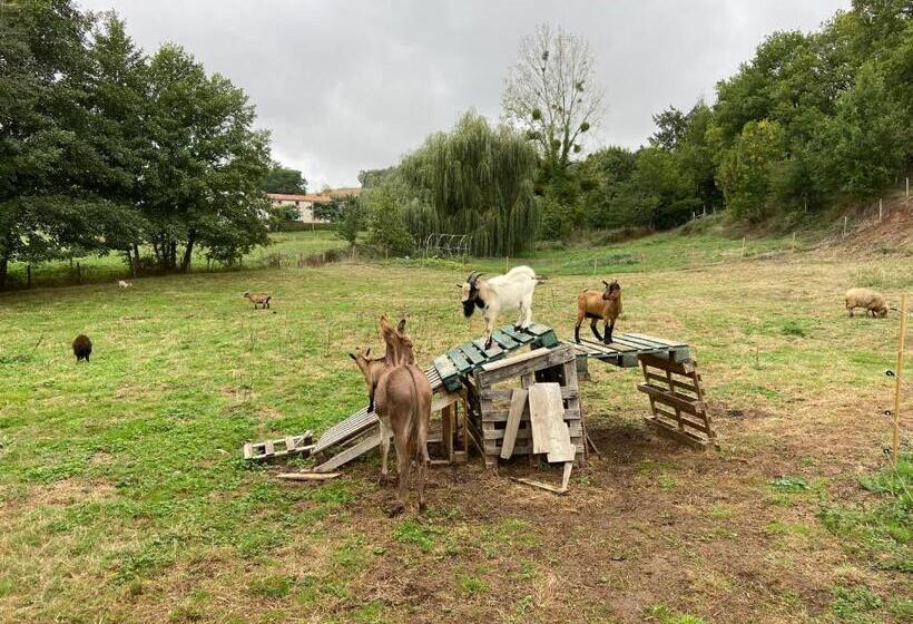 پانسیون Le Petit Moulin