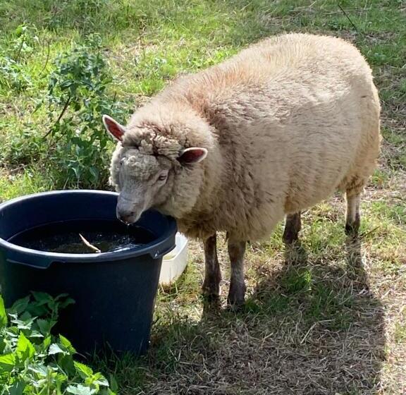 پانسیون Le Petit Moulin