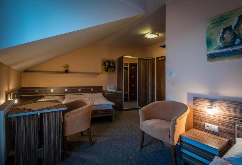 膳宿费 Penzión Anka