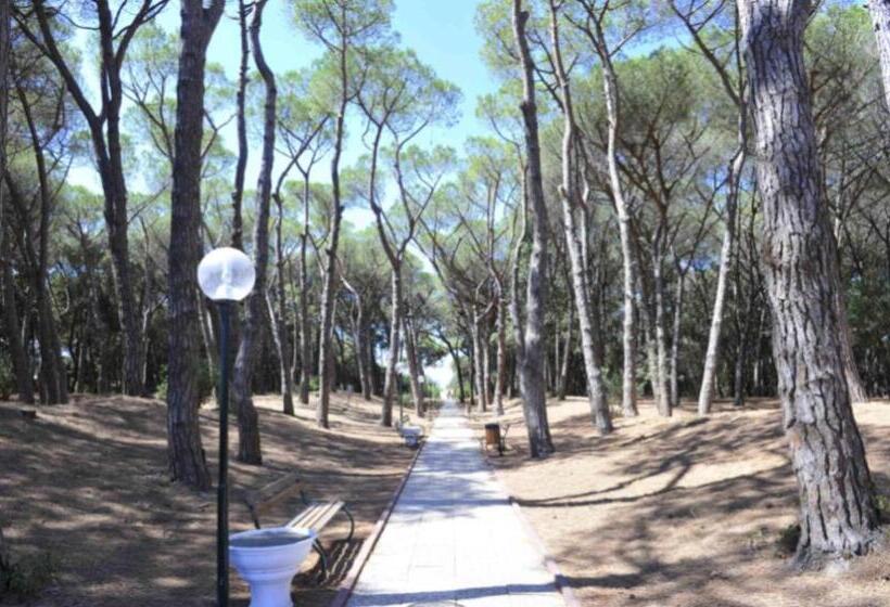 אתר נופש Apartment Type D