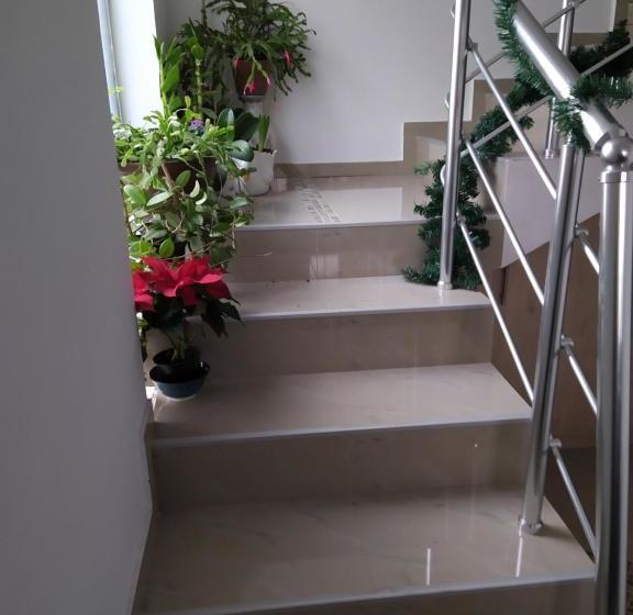 تختخواب و صبحانه Sunce