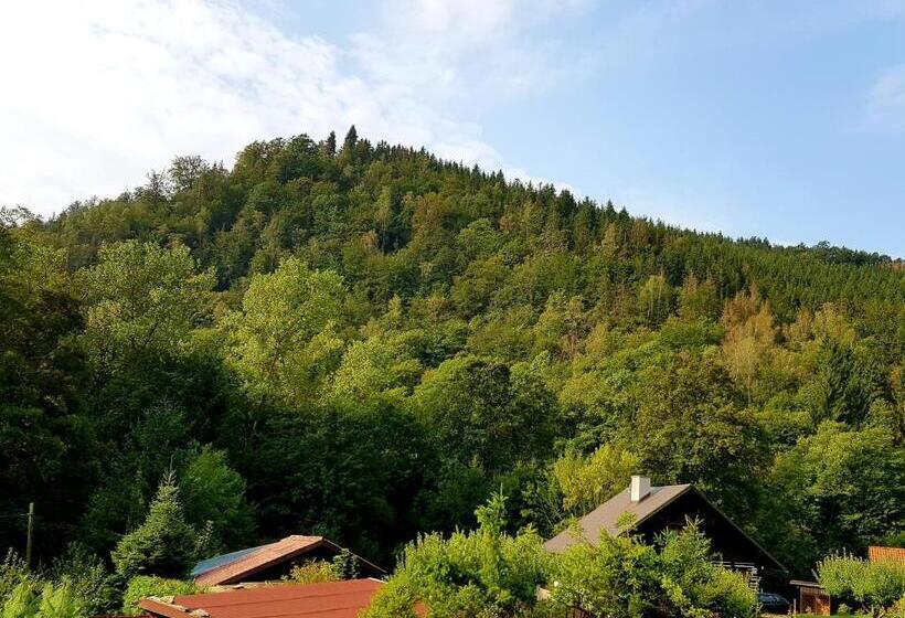 旅馆 čertovka Peklo