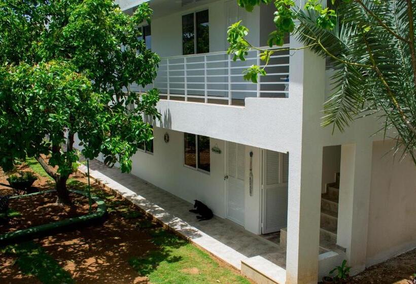 تختخواب و صبحانه Zaboka Sai