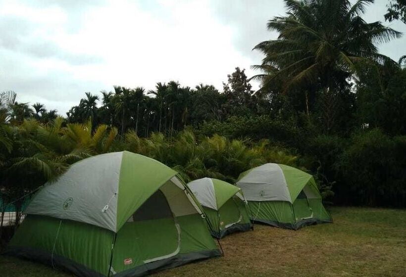 Отель Hoysala Resort