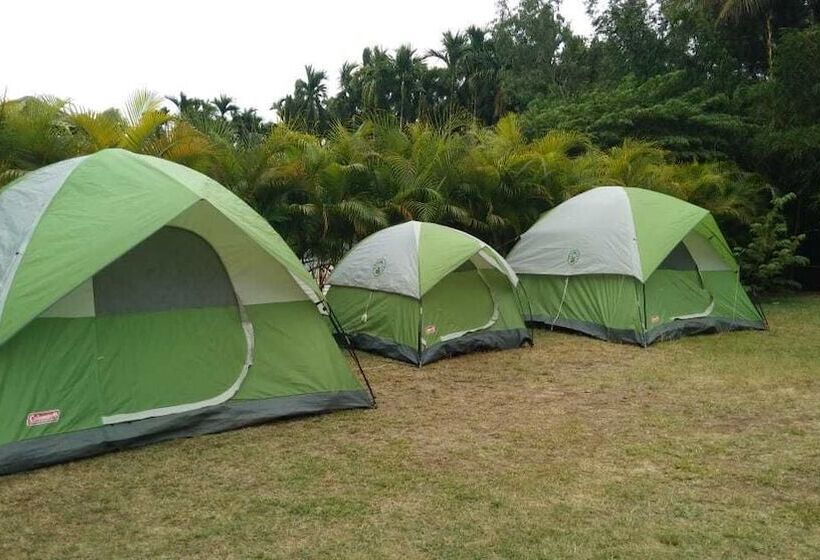 Отель Hoysala Resort