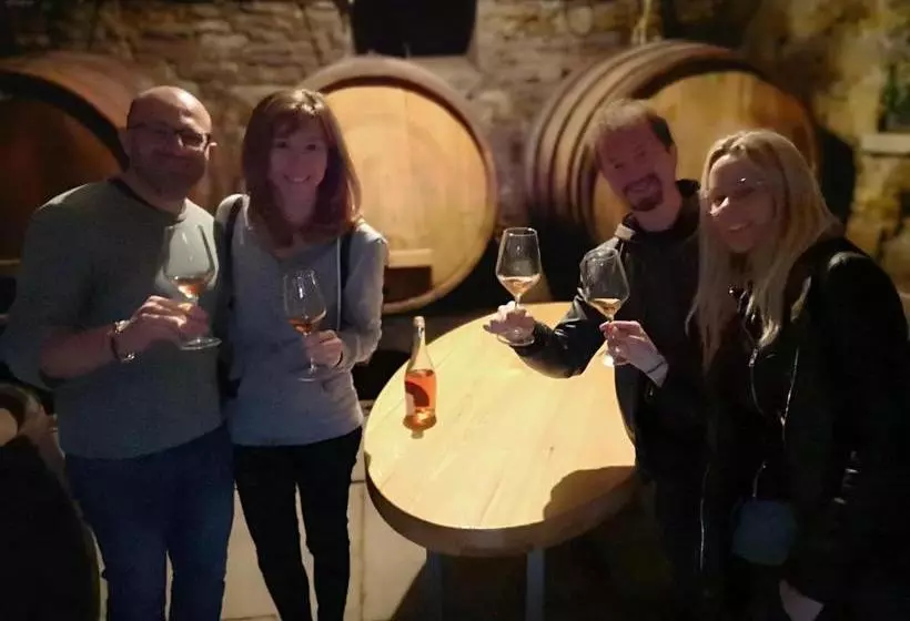 هتل Boutique Rooms& Winery žorž