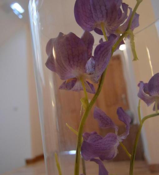 پانسیون Casa São Bernardo De Claraval