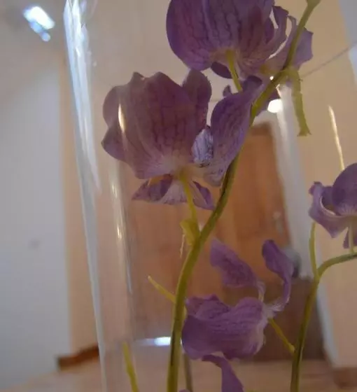 ペンション Casa São Bernardo De Claraval