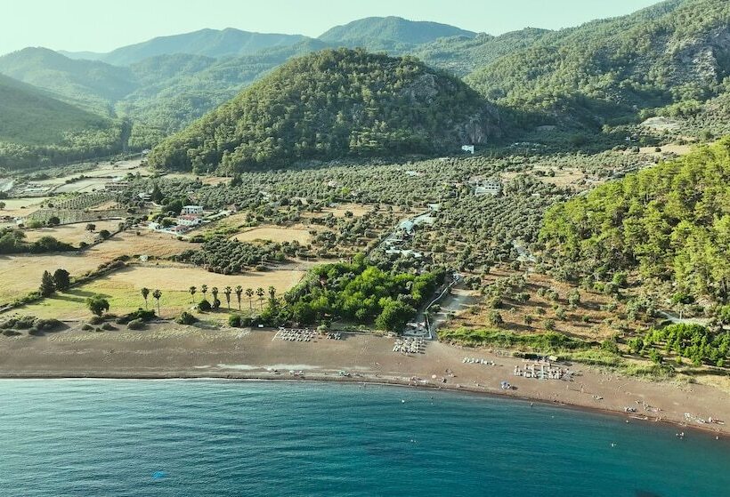 منتجع Eden Bungalows And Beach