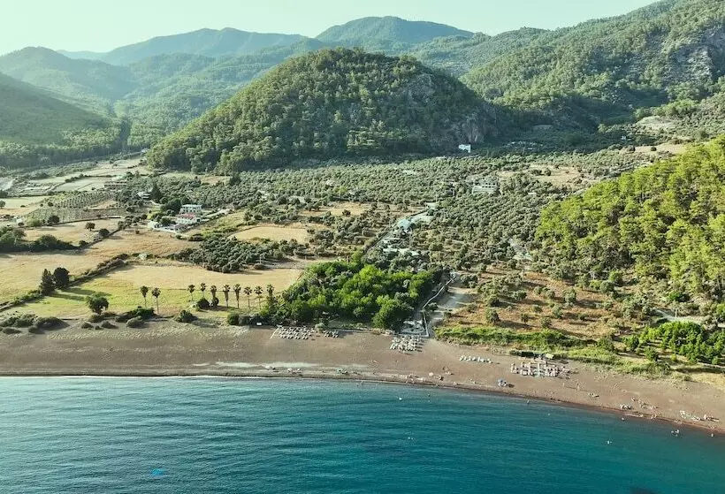 Lomakeskus Eden Bungalows And Beach