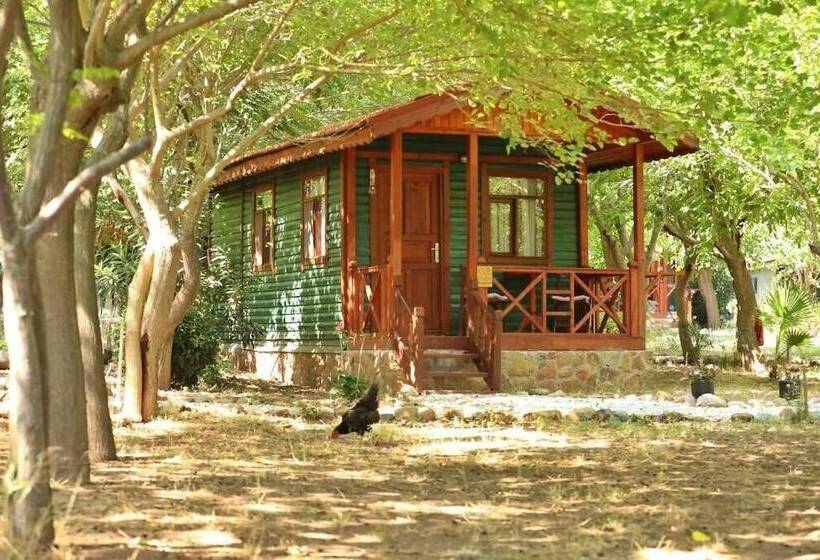 منتجع Eden Bungalows And Beach