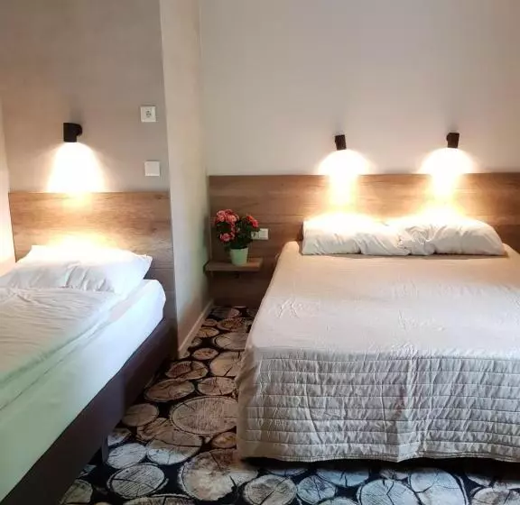 Aamiaismajoitus (B&B) Erdővarázs Panzió