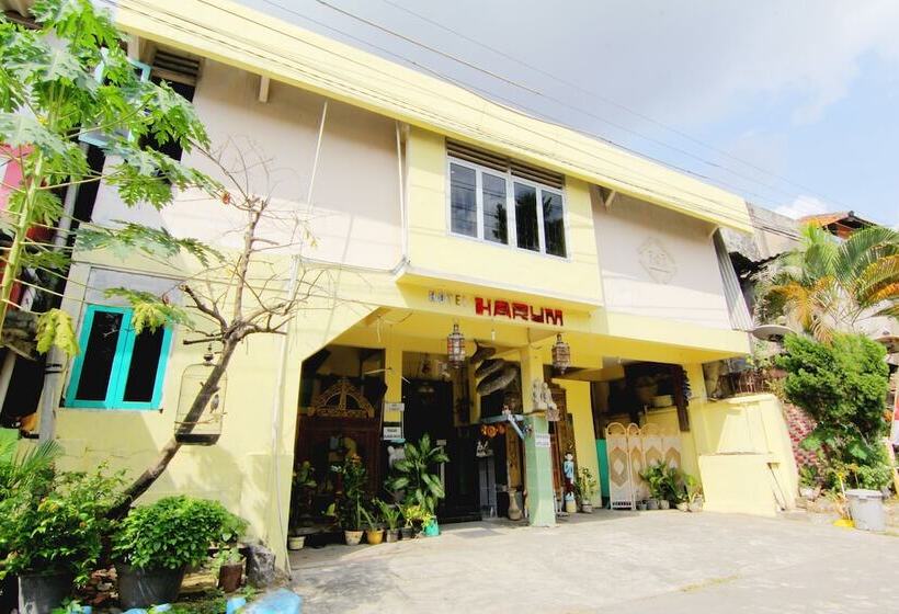 فندق Harum