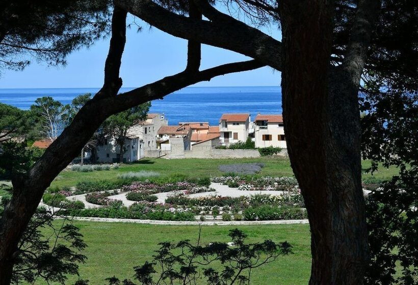 פנסיון Amnis Suites