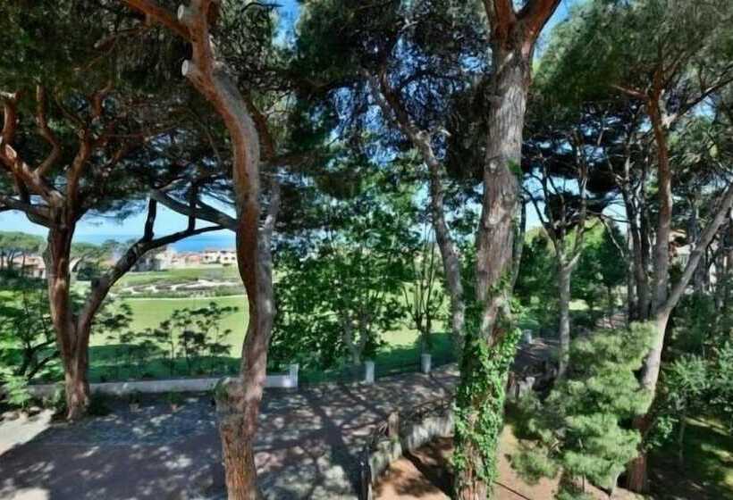 פנסיון Amnis Suites