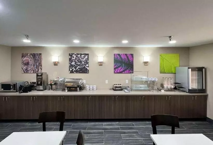 호텔 Sleep Inn & Suites Salina I 135