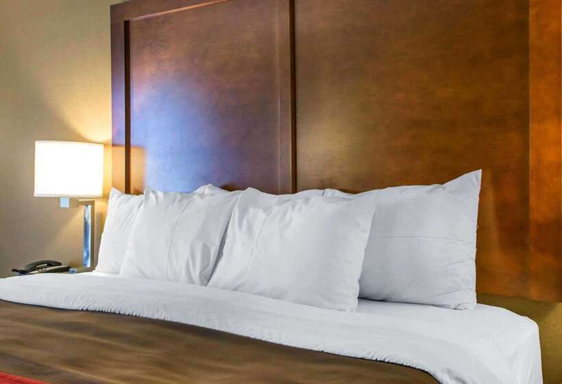 酒店 Comfort Inn Dayton  Huber Heights