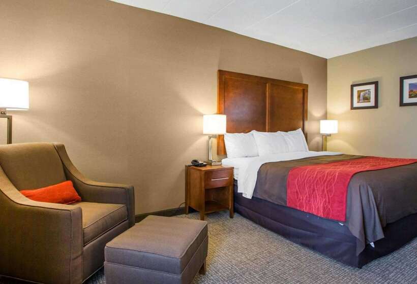 酒店 Comfort Inn Dayton  Huber Heights