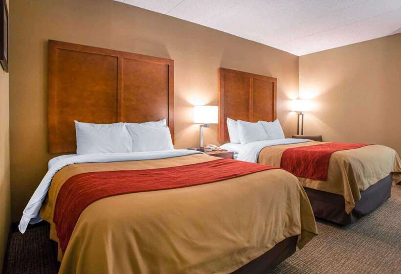 酒店 Comfort Inn Dayton  Huber Heights