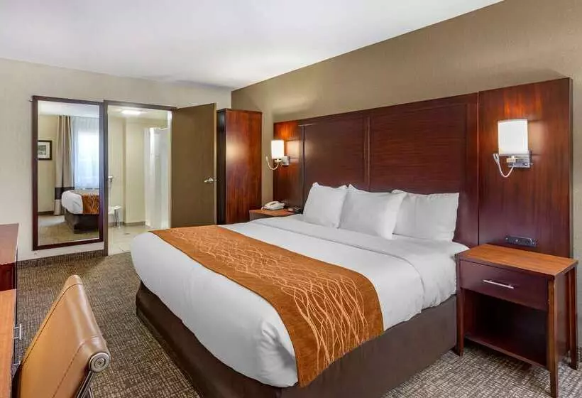 ホテル Comfort Inn Layton   Salt Lake City