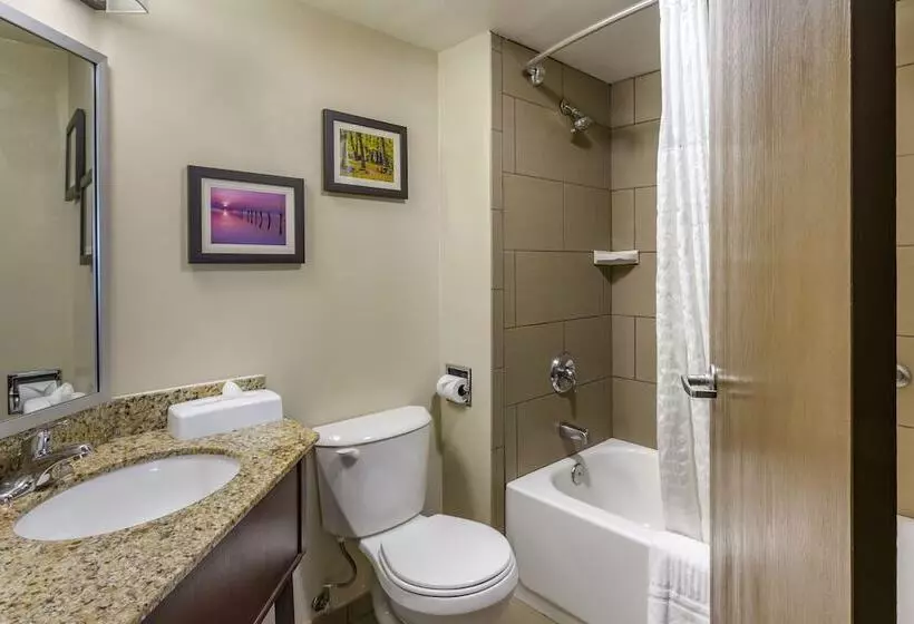 ホテル Comfort Inn Layton   Salt Lake City