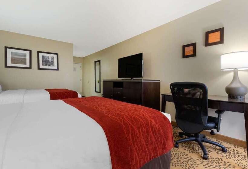 ホテル Comfort Inn North Of Asheville