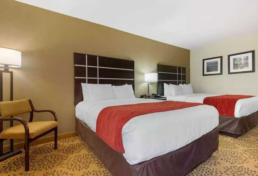 호텔 Comfort Inn North Of Asheville