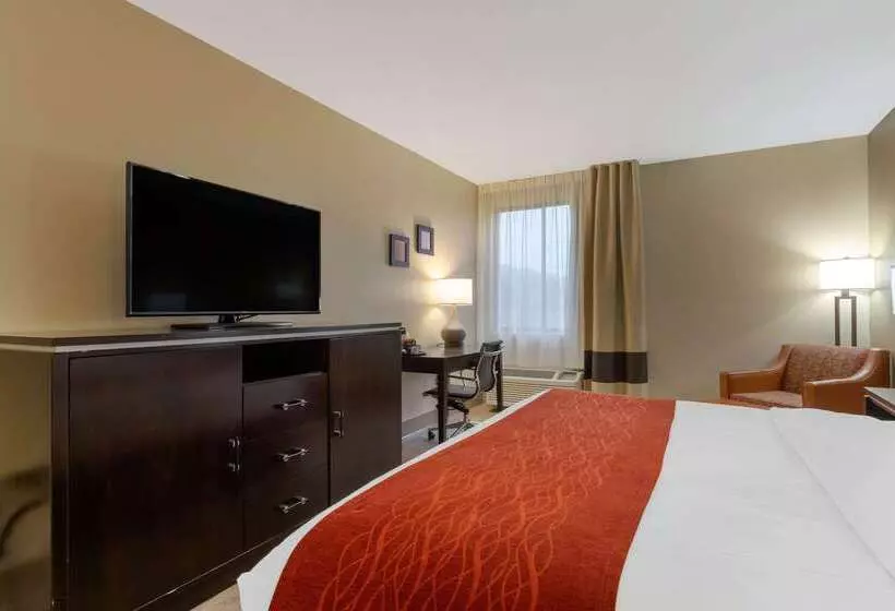 호텔 Comfort Inn North Of Asheville