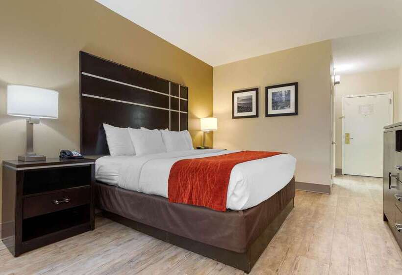 ホテル Comfort Inn North Of Asheville