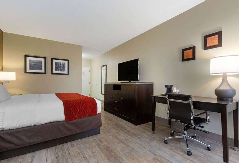 ホテル Comfort Inn North Of Asheville