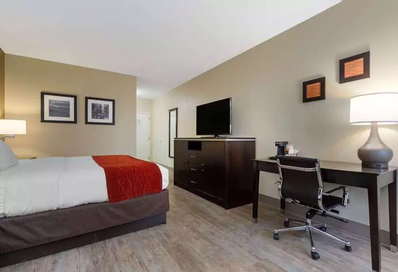 호텔 Comfort Inn North Of Asheville