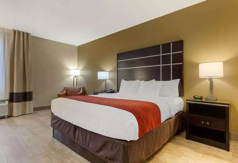 호텔 Comfort Inn North Of Asheville