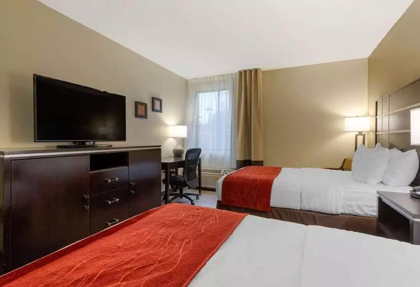 호텔 Comfort Inn North Of Asheville